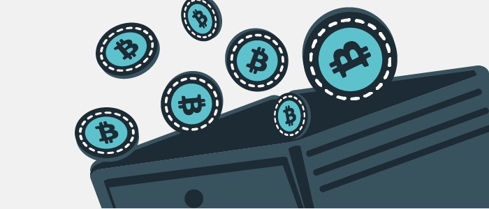 What is the purpose of a cryptocurrency wallet?