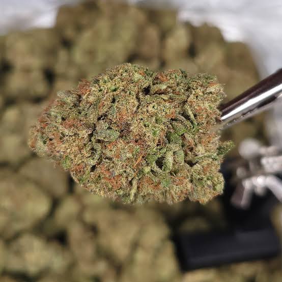 THCA Flower Wholesale: How to Buy Bulk Hemp Flower by the Pound