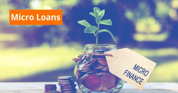 Why Micro-Loans Are a Growing Business Segment