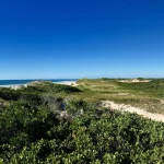 A panoramic view of a serene beach landscape with dunes and green vegetation under a clear blue sky.